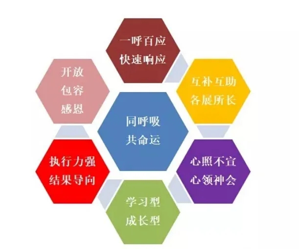 九五至尊VI-老品牌值得信任!