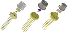 O0L1L4YzIjgotTUliHjIwQ5Wr8YuegmcBweP1sUI